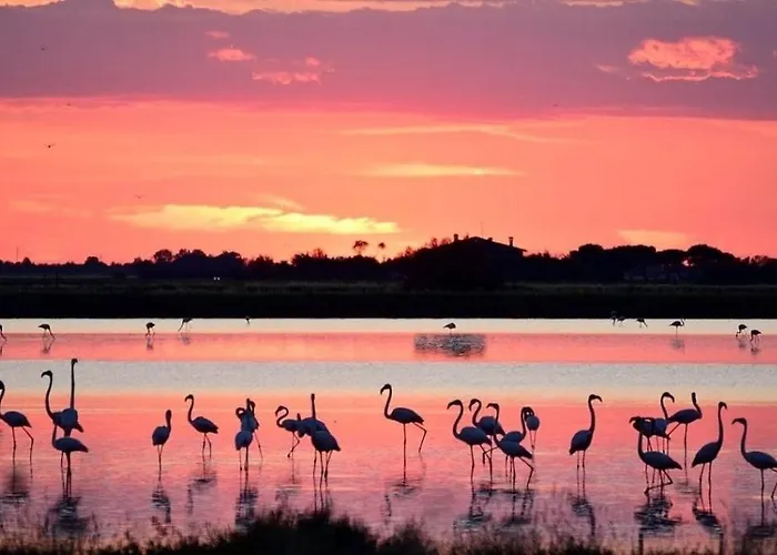 Sea View - Included * Lido di Scacchi
